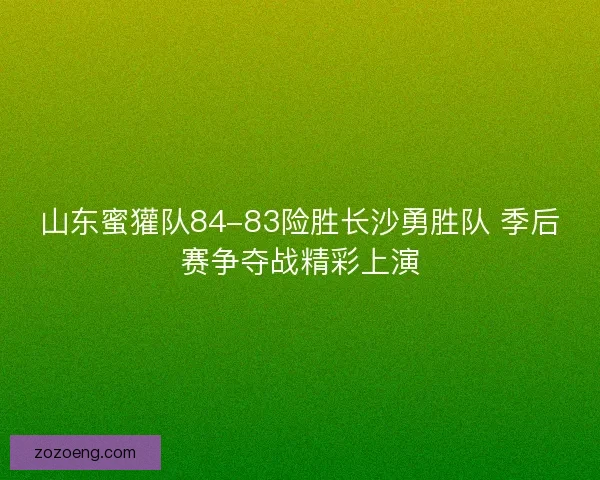 山东蜜獾队84-83险胜长沙勇胜队 季后赛争夺战精彩上演