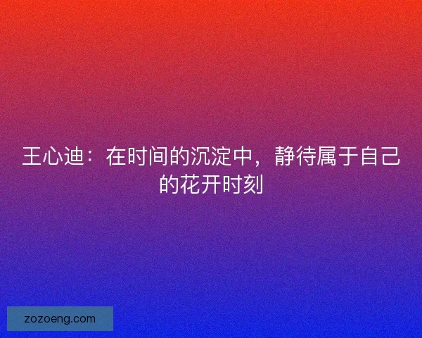 王心迪：在时间的沉淀中，静待属于自己的花开时刻